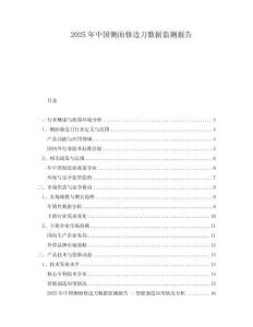 2025年中國側(cè)面修邊刀數(shù)據(jù)監(jiān)測報告