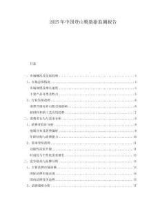 2025年中國登山靴數據監測報告