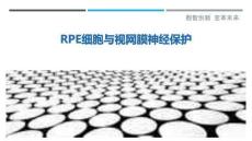 RPE細(xì)胞與視網(wǎng)膜神經(jīng)保護(hù)-洞察與解讀