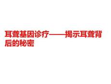 耳聋基因诊疗——揭示耳聋背后的秘密PPT课件