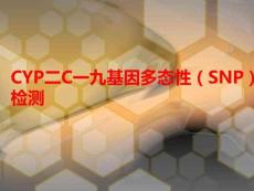 CYP二C一九基因多態(tài)性（SNP）檢測(cè)PPT課件