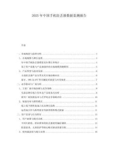 2025年中國(guó)手機(jī)防丟器數(shù)據(jù)監(jiān)測(cè)報(bào)告