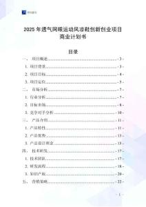2025年透氣網眼運動風涼鞋創新創業項目商業計劃書