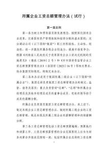 集團所屬企業(yè)工資總額管理辦法