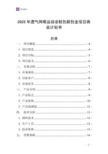 2025年透氣網(wǎng)眼運(yùn)動(dòng)涼鞋創(chuàng)新創(chuàng)業(yè)項(xiàng)目商業(yè)計(jì)劃書