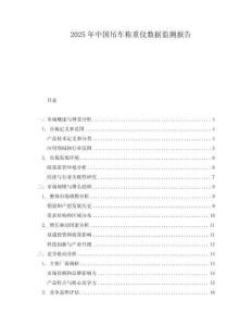 2025年中國(guó)吊車稱重儀數(shù)據(jù)監(jiān)測(cè)報(bào)告