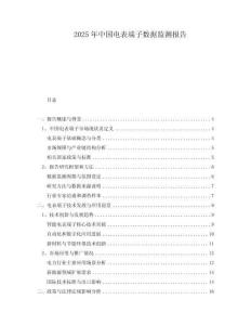 2025年中國(guó)電表端子數(shù)據(jù)監(jiān)測(cè)報(bào)告