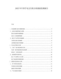 2025年中國手電萬歷收音機數據監測報告