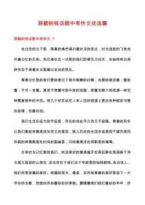 那截樹枝話題中考作文優選篇
