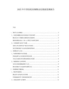 2025年中國齒輪齒圈跳動儀數據監(jiān)測報告