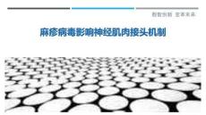 麻疹病毒影響神經(jīng)肌肉接頭機(jī)制-洞察與解讀