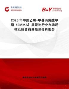 2025年中國乙烯-甲基丙烯酸甲酯（EMMA）共聚物行業(yè)市場規(guī)模及投資前景預(yù)測分析報(bào)告