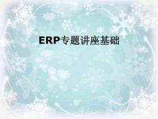 ERP專題講座基礎(chǔ)