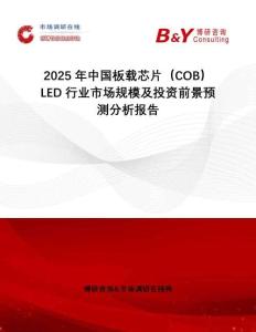 2025年中國(guó)板載芯片（COB）LED行業(yè)市場(chǎng)規(guī)模及投資前景預(yù)測(cè)分析報(bào)告
