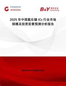 2025年中國(guó)氮化鎵ICs行業(yè)市場(chǎng)規(guī)模及投資前景預(yù)測(cè)分析報(bào)告