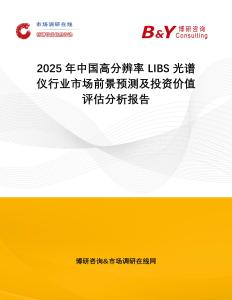 2025年中國(guó)高分辨率 LIBS 光譜儀行業(yè)市場(chǎng)前景預(yù)測(cè)及投資價(jià)值評(píng)估分析報(bào)告