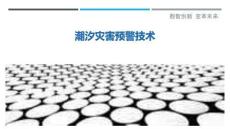 潮汐災(zāi)害預(yù)警技術(shù)-洞察與解讀