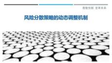 風險分散策略的動態調整機制-洞察與解讀