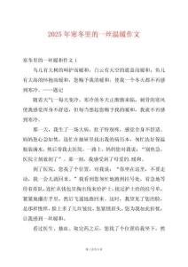 2025年寒冬里的一絲溫暖作文