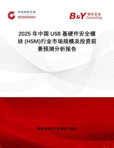 2025年中國USB基硬件安全模塊 (HSM)行業(yè)市場規(guī)模及投資前景預(yù)測分析報告