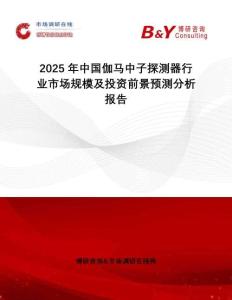 2025年中國(guó)伽馬中子探測(cè)器行業(yè)市場(chǎng)規(guī)模及投資前景預(yù)測(cè)分析報(bào)告