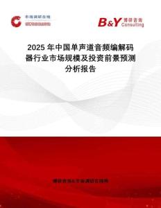 2025年中國單聲道音頻編解碼器行業市場規模及投資前景預測分析報告