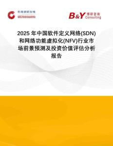 2025年中國軟件定義網(wǎng)絡(SDN)和網(wǎng)絡功能虛擬化(NFV)行業(yè)市場前景預測及投資價值評估分析報告