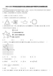 2024-2025學(xué)年湖北省宜昌市長陽土家族自治縣中考數(shù)學(xué)對點突破模擬試卷含解析