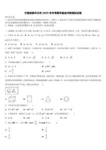 寧夏回族中衛(wèi)市2025年中考數(shù)學(xué)最后沖刺模擬試卷含解析