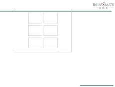 貝因美信息化項目IT規(guī)劃報告