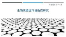 生物質(zhì)燃燒環(huán)境效應研究-剖析洞察