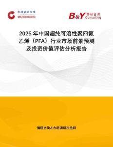 2025年中國(guó)超純可溶性聚四氟乙烯（PFA）行業(yè)市場(chǎng)前景預(yù)測(cè)及投資價(jià)值評(píng)估分析報(bào)告