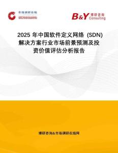 2025年中國軟件定義網絡 (SDN) 解決方案行業(yè)市場前景預測及投資價值評估分析報告