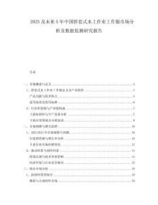 2025及未來5年中國脖套式水上作業工作服市場分析及數據監測研究報告