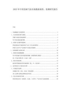 2025年中國(guó)直柄氣鉆市場(chǎng)數(shù)據(jù)調(diào)查、監(jiān)測(cè)研究報(bào)告