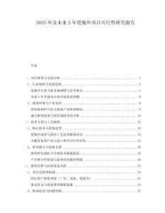 2025年及未來(lái)5年瓷瓶絲項(xiàng)目可行性研究報(bào)告