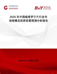 2025年中國硫普羅寧片行業(yè)市場規(guī)模及投資前景預(yù)測分析報(bào)告