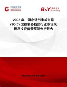 2025年中國小外形集成電路 (SOIC) 微控制器插座行業市場規模及投資前景預測分析報告
