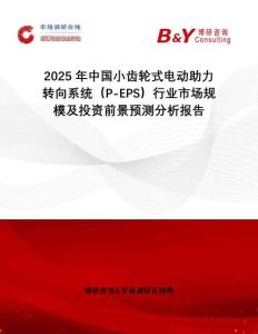 2025年中國(guó)小齒輪式電動(dòng)助力轉(zhuǎn)向系統(tǒng)（P-EPS）行業(yè)市場(chǎng)規(guī)模及投資前景預(yù)測(cè)分析報(bào)告
