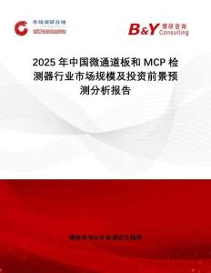 2025年中國微通道板和MCP檢測器行業(yè)市場規(guī)模及投資前景預(yù)測分析報告