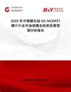 2025年中國碳化硅SiC MOSFET裸片行業(yè)市場規(guī)模及投資前景預(yù)測分析報告