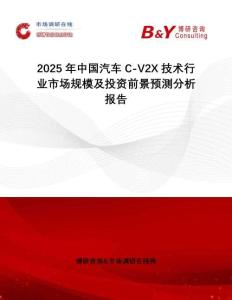 2025年中國汽車C-V2X技術(shù)行業(yè)市場規(guī)模及投資前景預(yù)測分析報告