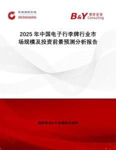 2025年中國電子行李牌行業(yè)市場規(guī)模及投資前景預(yù)測分析報(bào)告