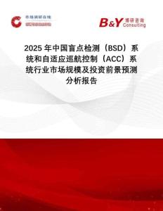 2025年中國盲點檢測（BSD）系統(tǒng)和自適應(yīng)巡航控制（ACC）系統(tǒng)行業(yè)市場規(guī)模及投資前景預(yù)測分析報告