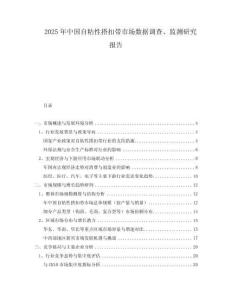 2025年中國(guó)自粘性搭扣帶市場(chǎng)數(shù)據(jù)調(diào)查、監(jiān)測(cè)研究報(bào)告