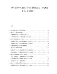 2025年弧形頁片鎖項目可行性研究報告（市場數(shù)據(jù)調(diào)查、監(jiān)測研究）