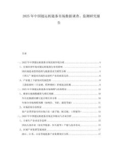 2025年中國鏈運機鏈條市場數(shù)據(jù)調(diào)查、監(jiān)測研究報告