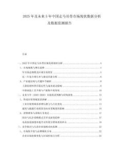 2025年及未來(lái)5年中國(guó)走馬吊帶市場(chǎng)現(xiàn)狀數(shù)據(jù)分析及數(shù)據(jù)監(jiān)測(cè)報(bào)告