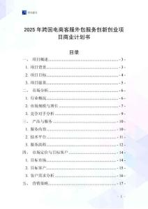 2025年跨國電商客服外包服務創(chuàng)新創(chuàng)業(yè)項目商業(yè)計劃書
