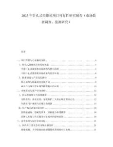 2025年针孔式摄像机项目可行性研究报告（市场数据调查、监测研究）